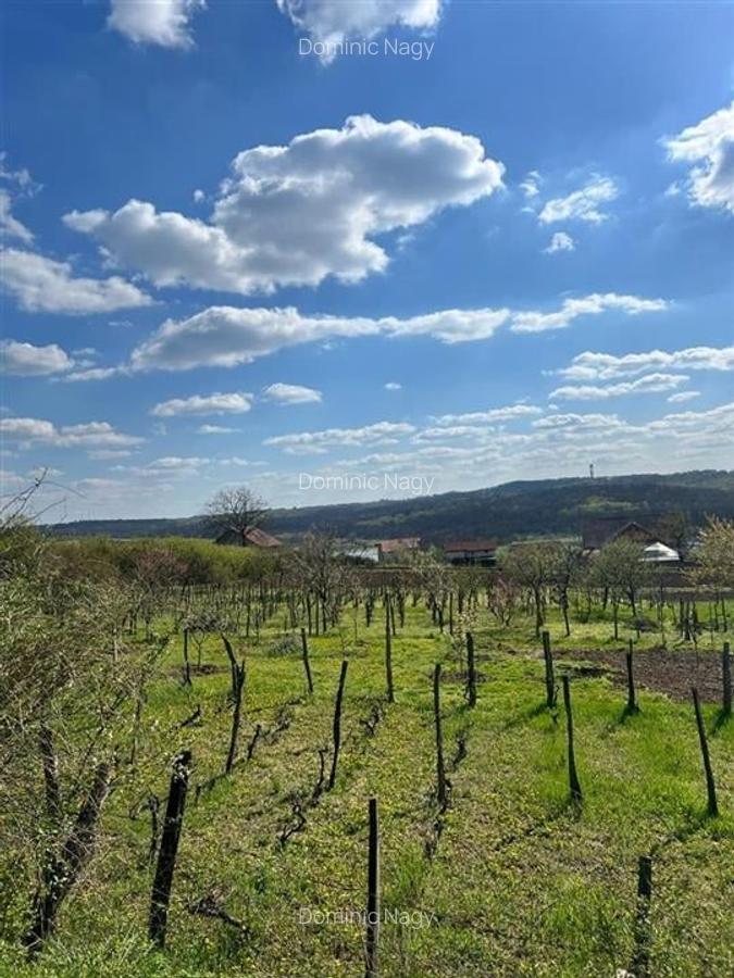 Teren Construcții intravilan de 1107 mp, în Paleu - 2