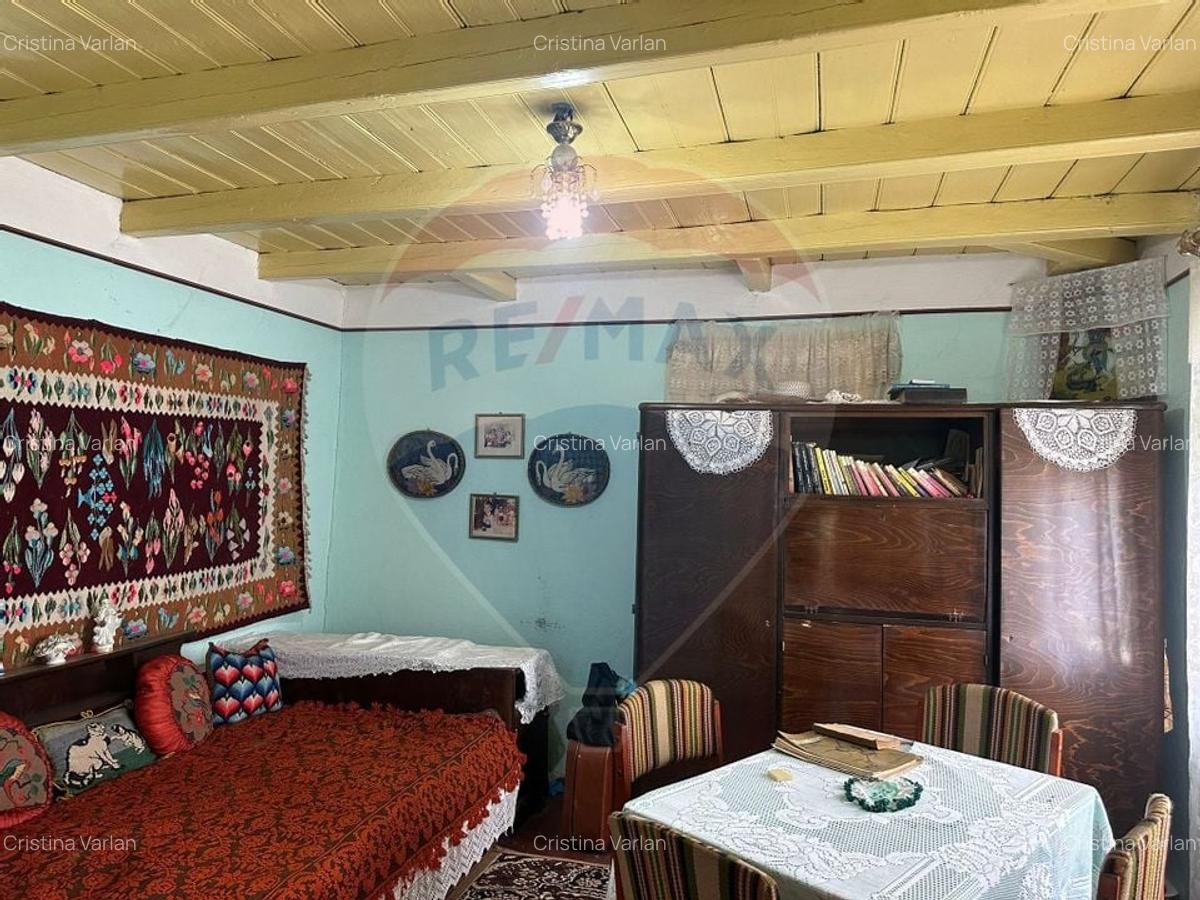 Teren intravilan 4.779 mp + casa si anexe - Girov, Neamt - 11