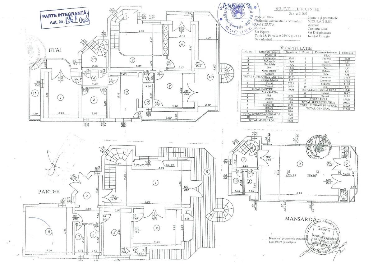 Vila deosebita Iancu Nicolae - British School - 6