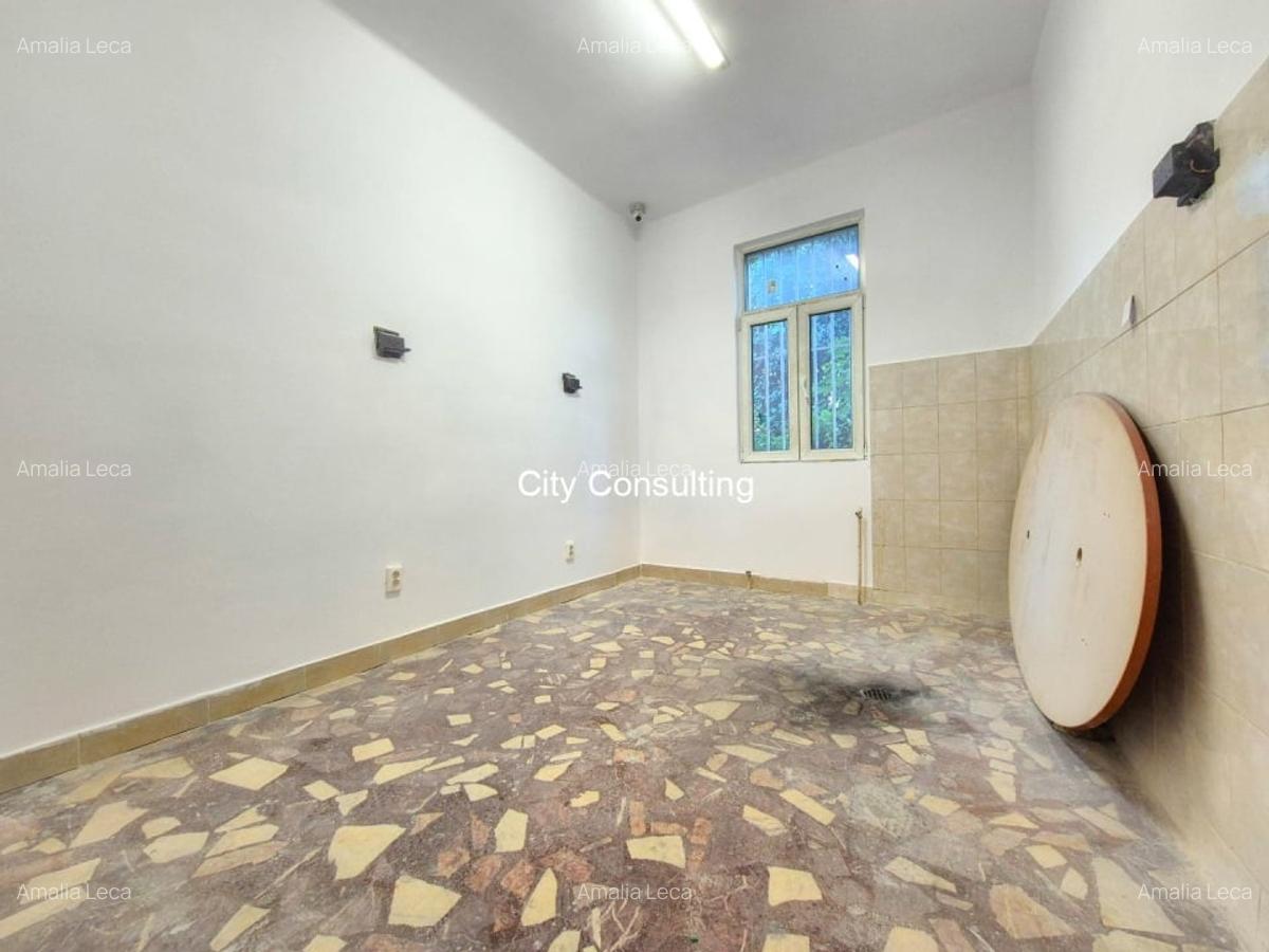 Inchiriere casa Spatiu Comercial Calea Ferentari - 3