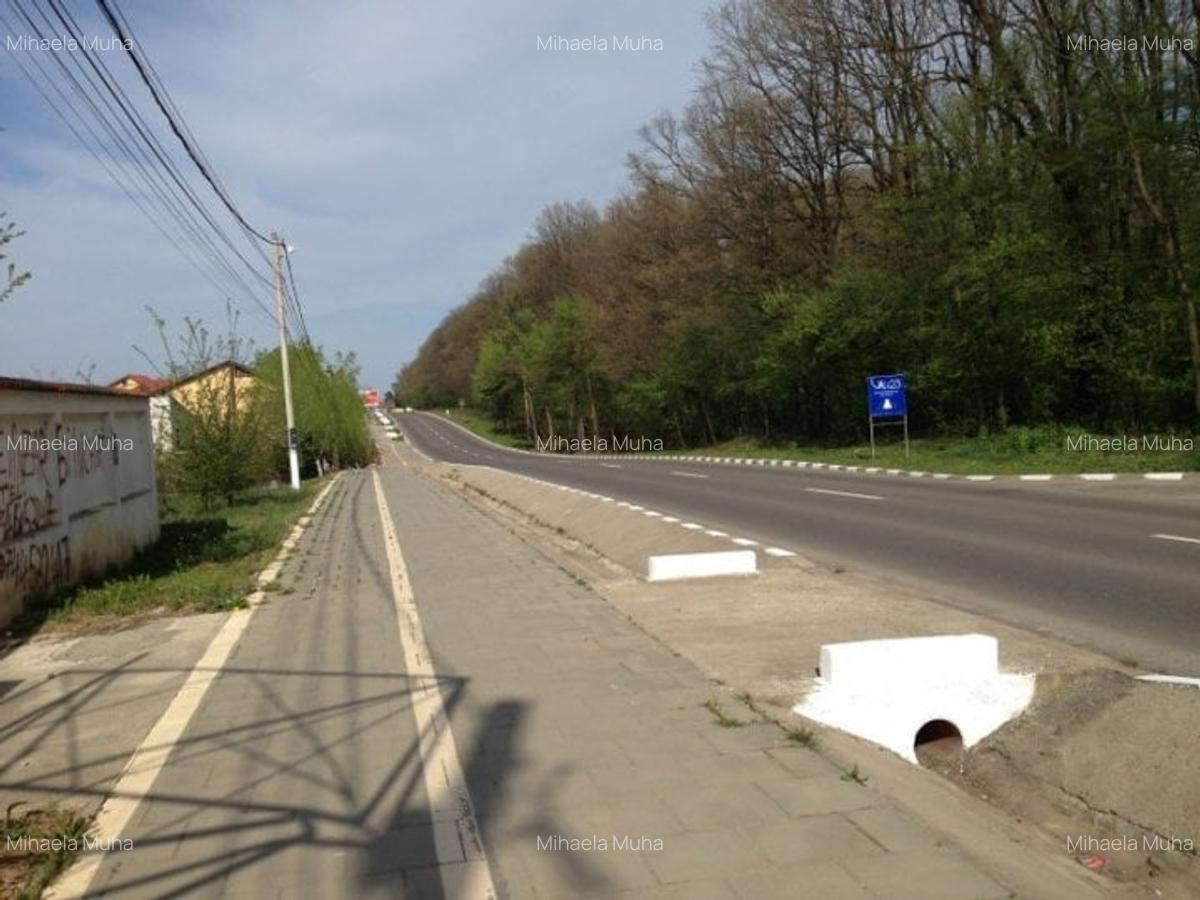 Vanzare teren Snagov Vladiceasca - 3