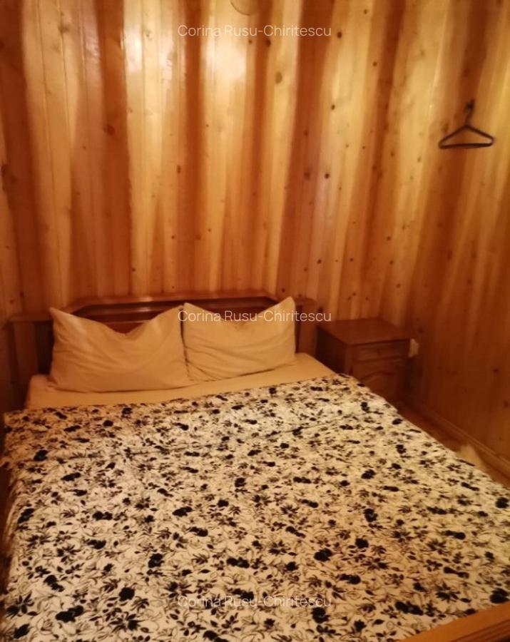 Cabana vacanta 4 dormitoare Azuga, Prahova - 10