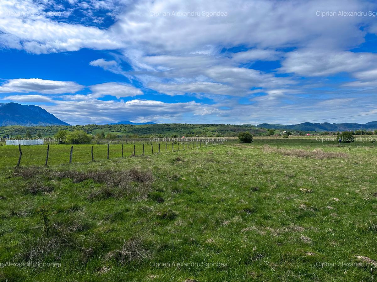 Teren Bran Zarnesti 3 km Castelul Bran 25 km Brasov - 8 Teren Bran Zarnesti 3 km Castelul Bran 25 km Brasov - 8