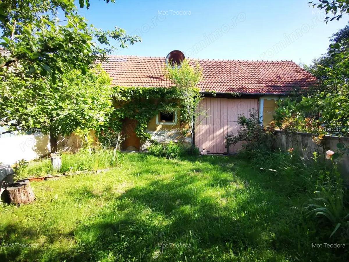 De vanzare casa in Buzad- 709 - 12