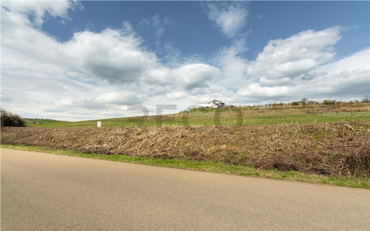 Teren intravilan Cetariu - 2