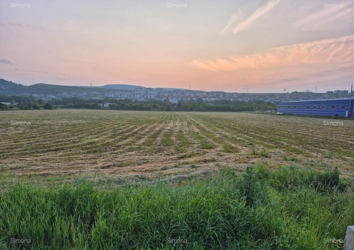 Teren intravilan de vanzare Calea Baciului 5.000 mp - 1 Teren intravilan de vanzare Calea Baciului 5.000 mp - 1