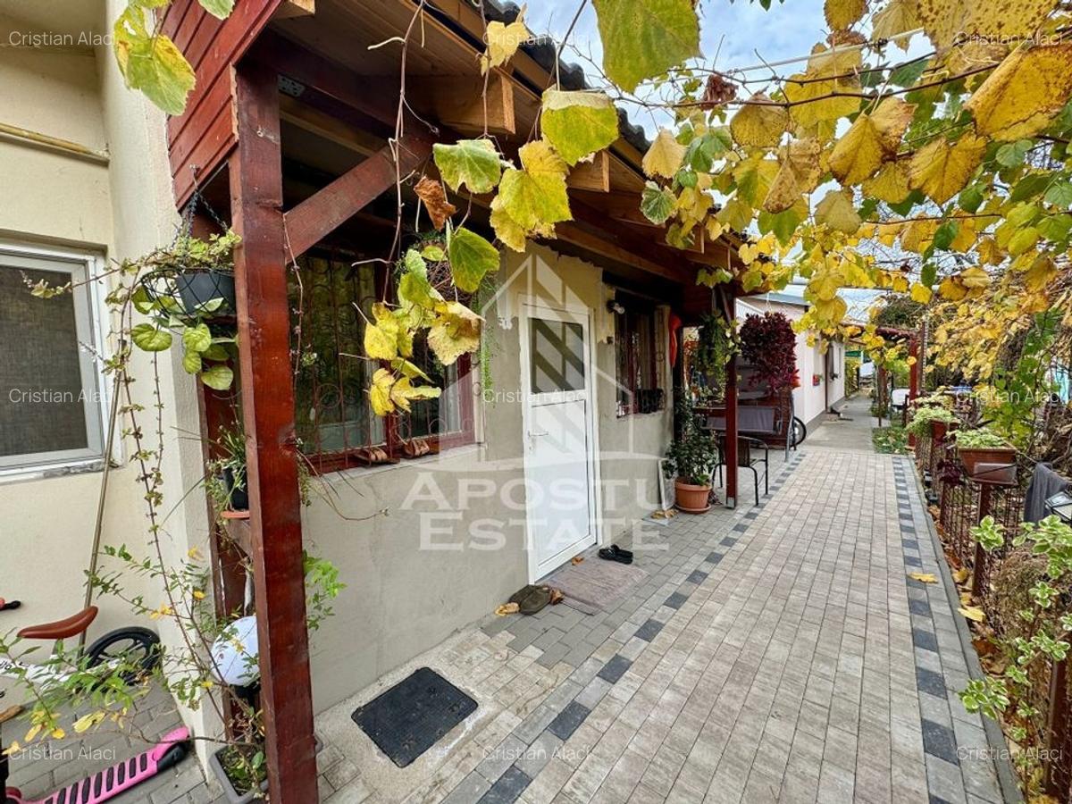 Doua apartamente la curte comuna , zona Iosefin - 1