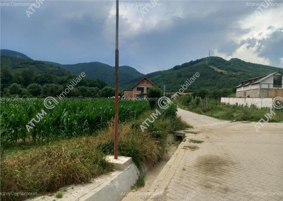 De 733 mp in Boita Sibiu - 6