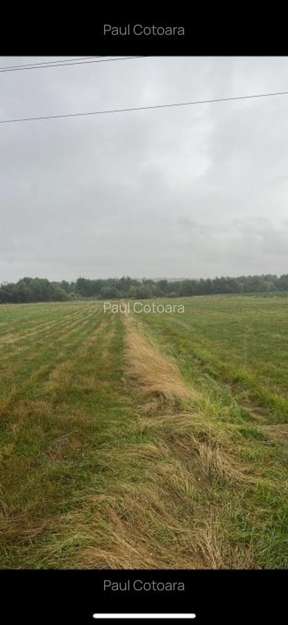 Parcele de vanzare ,Zona Versailles ,500 mp - 3