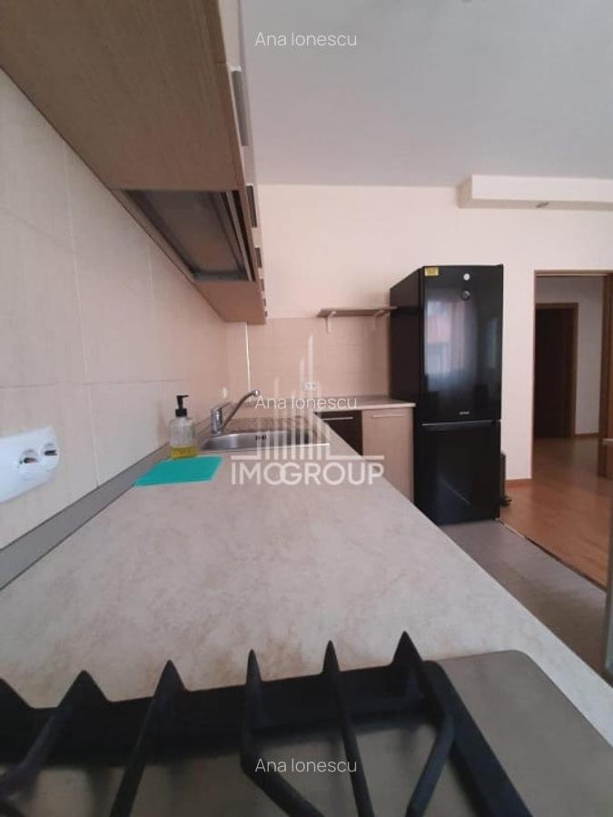 Apartament cu 2 cam decomandate de inchiriat str Urusagului, parcare - 11