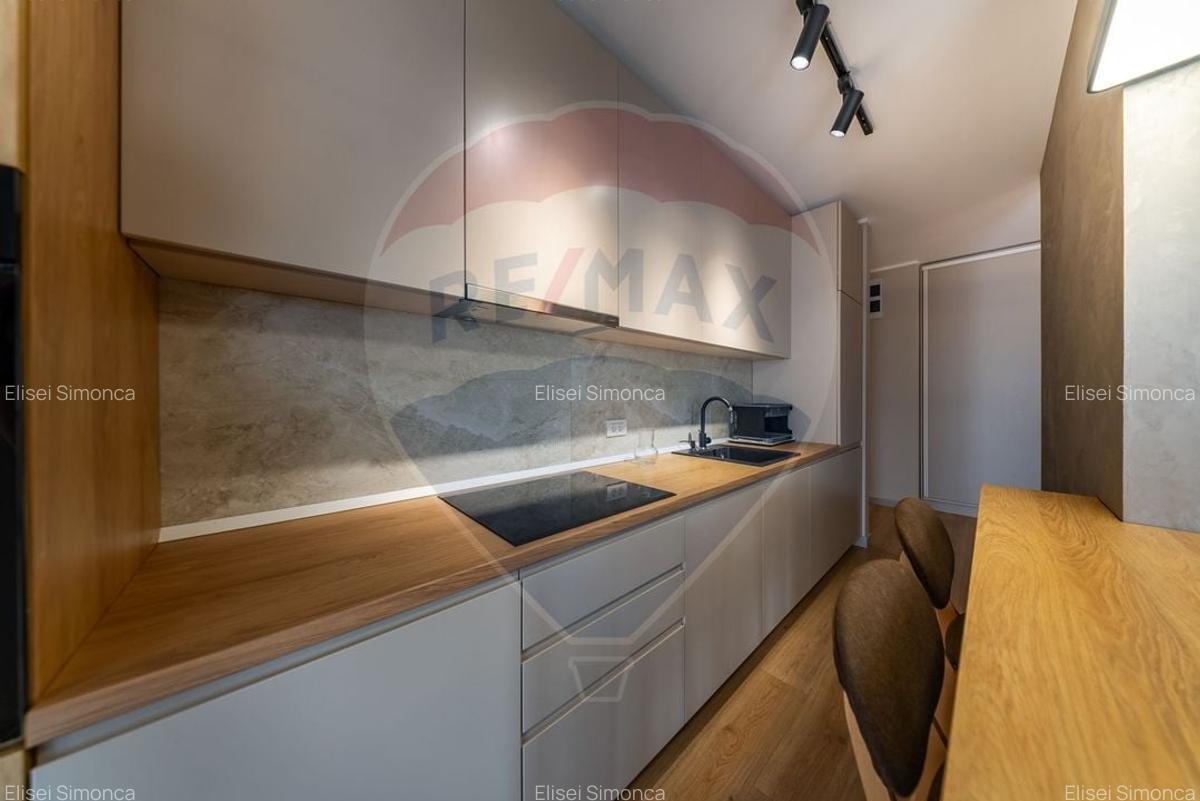 Apartament cu 2 camere de inchiriat, zona Boul Rosu - 4