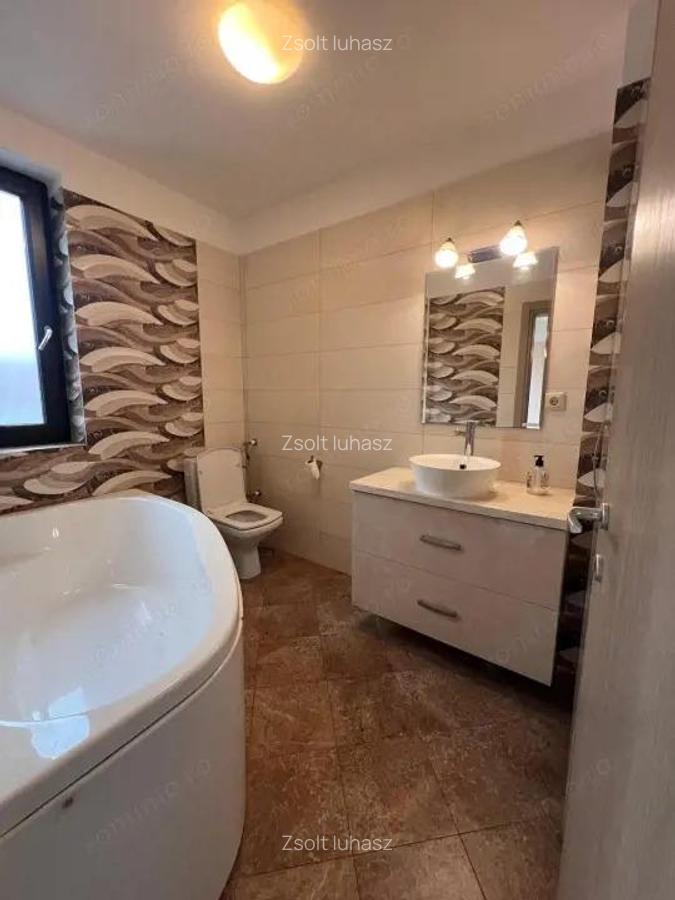 Casa intr-o zona rezidentiala, 130 mp utili, curte matura -Matei Millo - 10