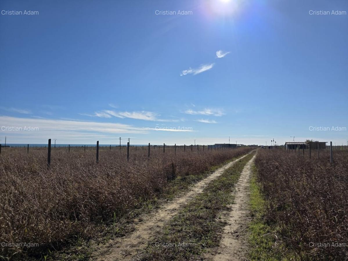 Teren intravilan 548 mp in Corbu, ideal pentru investitie - 3 Teren intravilan 548 mp in Corbu, ideal pentru investitie - 3