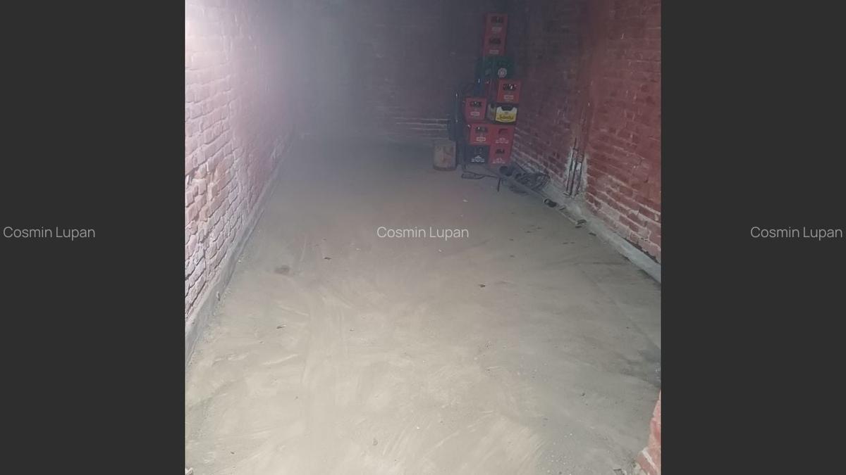 Spațiu comercial generos, la drum principal, localitatea Daia - 11