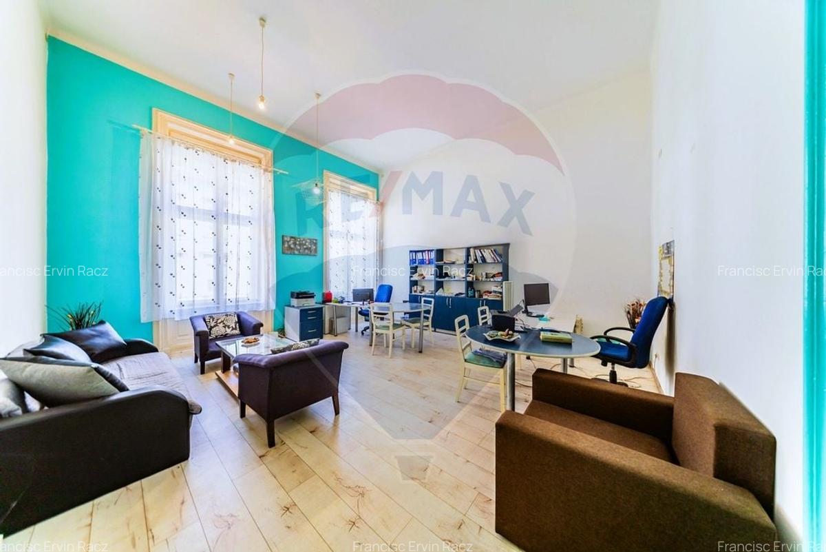 Studio spectaculos pe 2 niveluri in Palatul Neumann, exclusiv - 1
