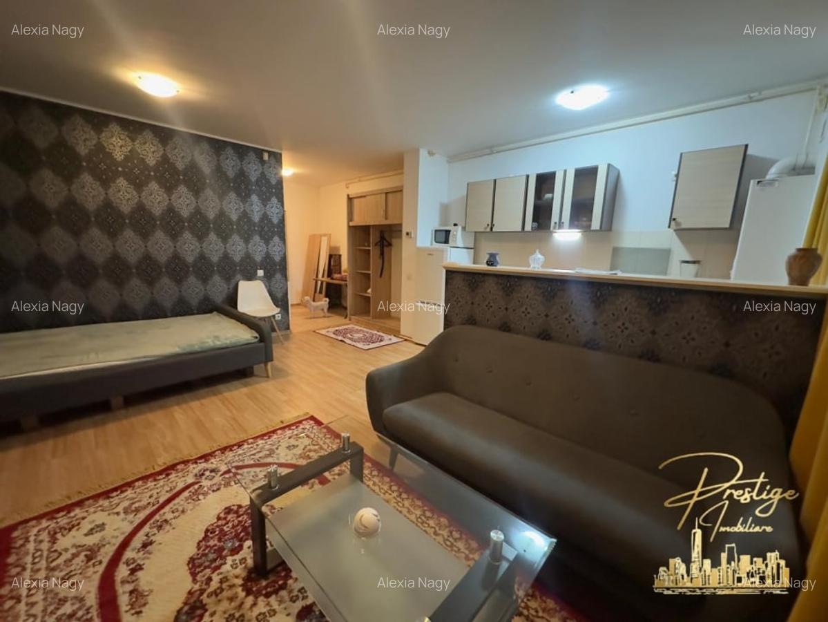 Studio/Apartament cu o camera de inchiriat in bloc nou - Ared - 4