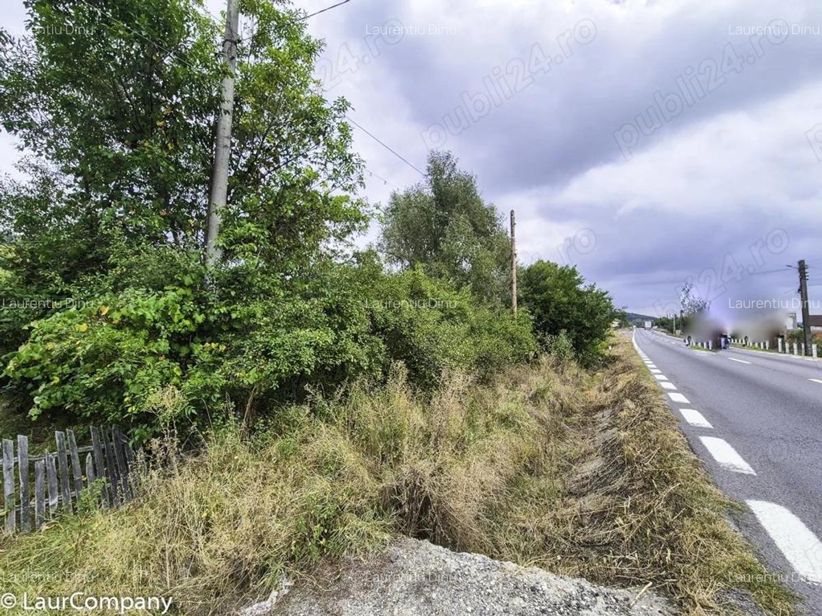 Teren 1,4 hectare Draganu Arges - 5