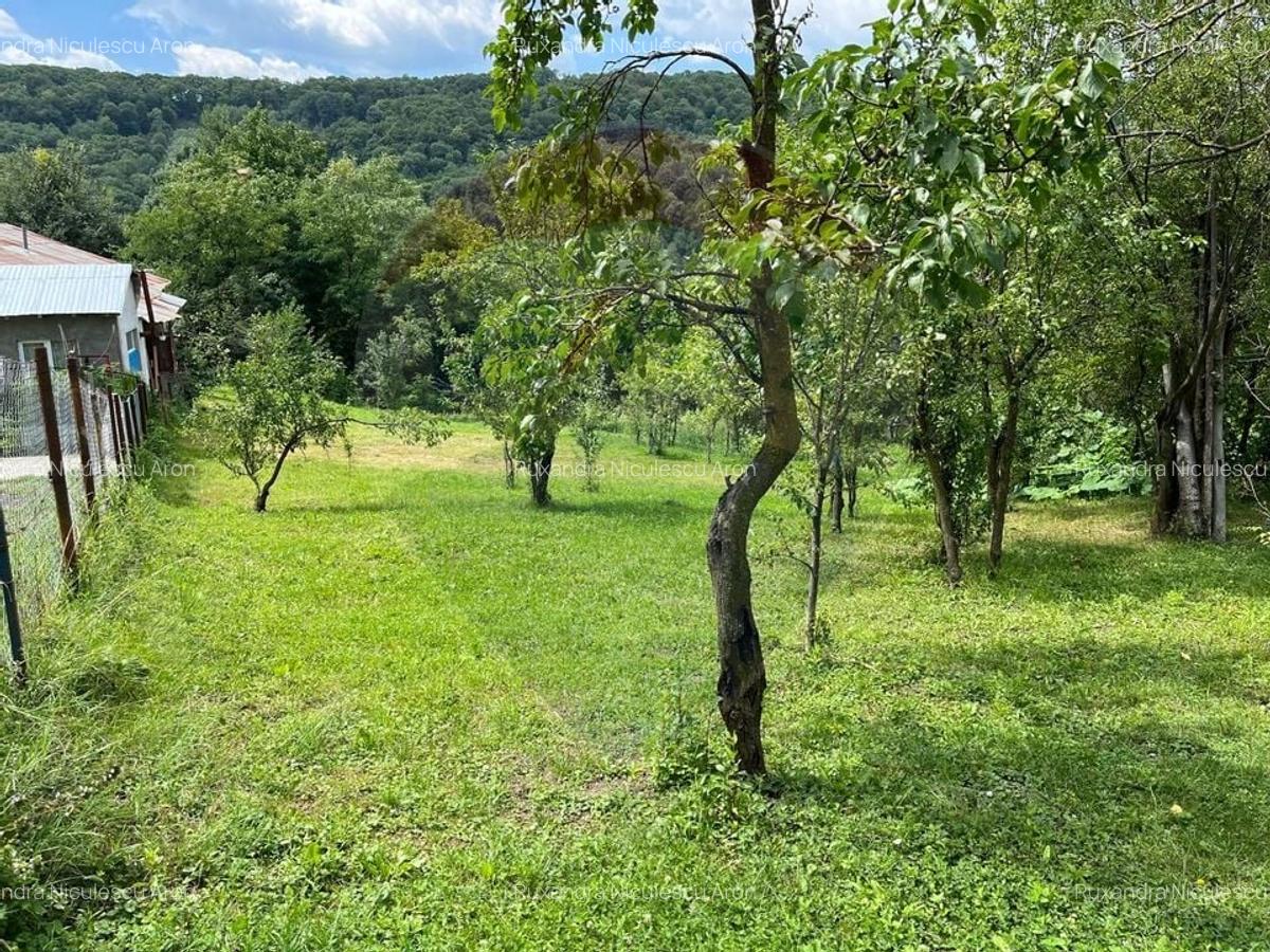 Teren intravilan (faneata) de vanzare  - 2231 mp, Telega, jud. Prahova - 1