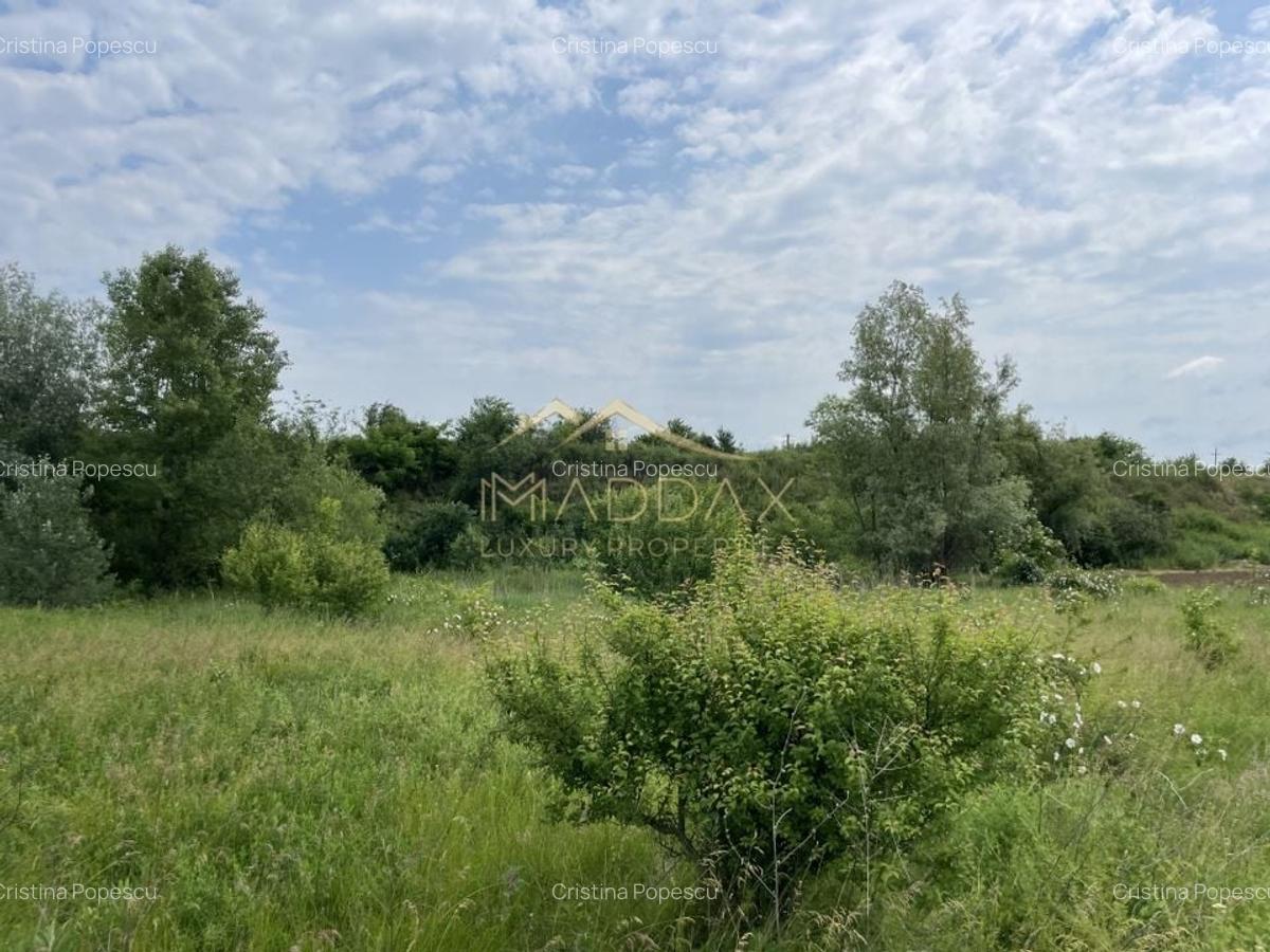 Teren intravilan***1439 mp***Cretesti-Vidra-Ilfov - 14