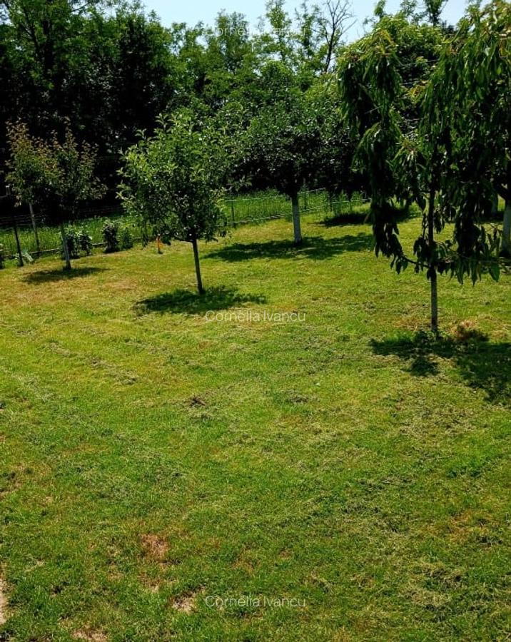 Confort si relaxare aproape de București, oraș Titu, Dâmbovița - 6
