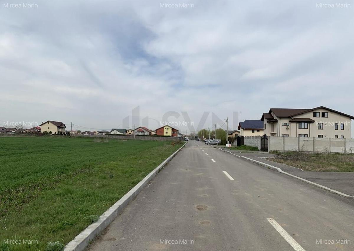 Teren Cornetu-Magurele - 24581 mp - Strada Magnoliei - Ac... - 4