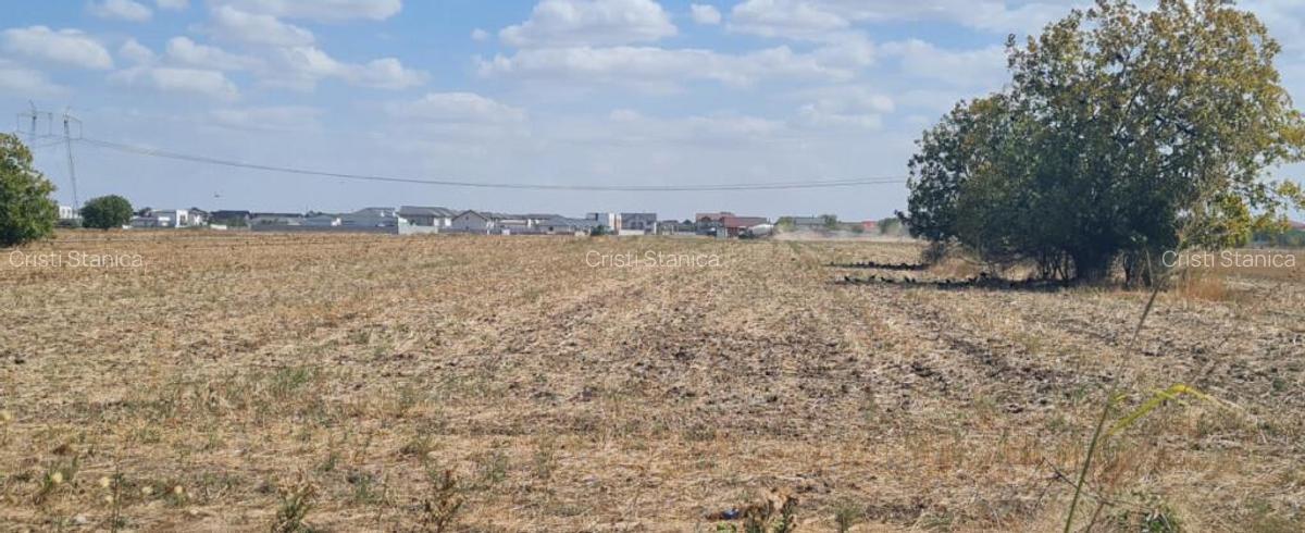 Teren investitie Berceni - 5