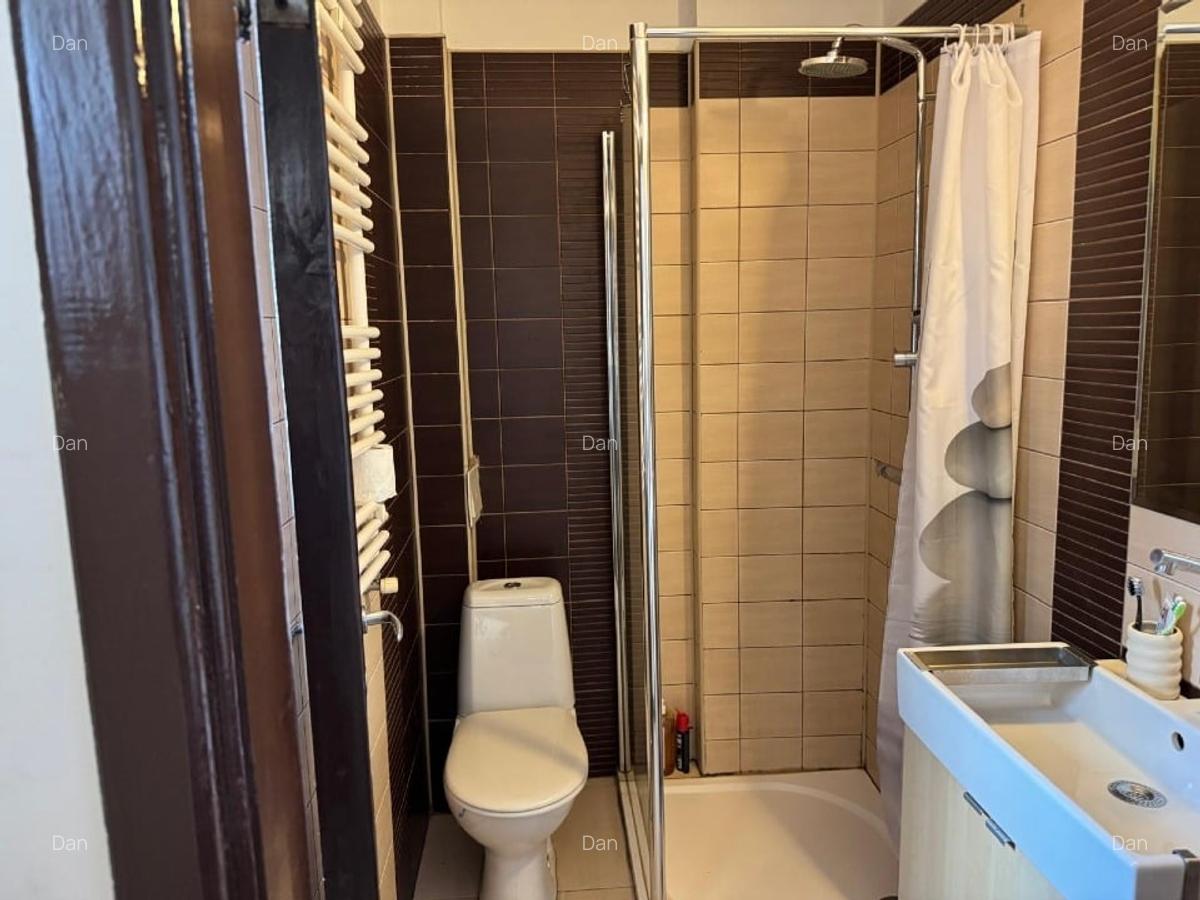 Vand/schimb -Apartament duplex, 109 mp, terasa, magazie , gradina - Tineretului - 3