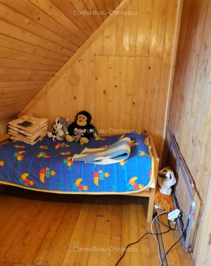 Cabana vacanta 4 dormitoare Azuga, Prahova - 12