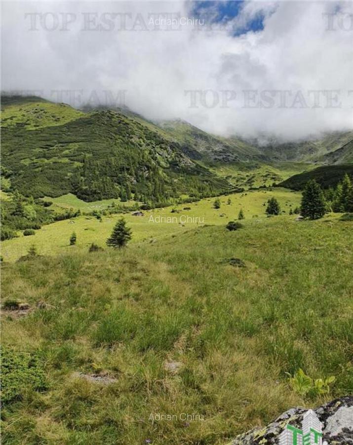 SUPER OPORTUNITATE, DE VANZARE O PROPRIETATE SPECIALA, MUNTE - 16