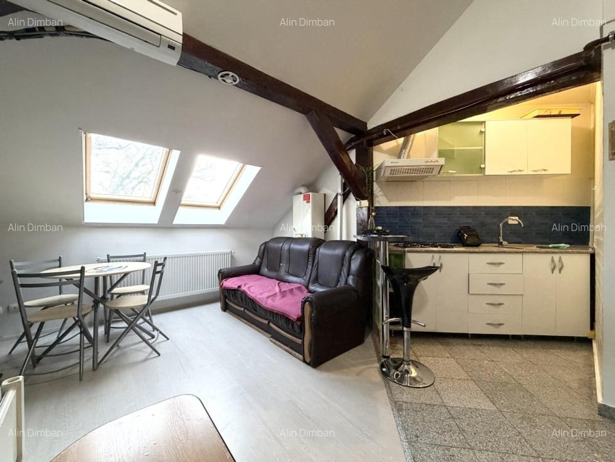 Apartament 2 camere, 40 mp utili, etaj 3, renovat -  Iosefin - 4