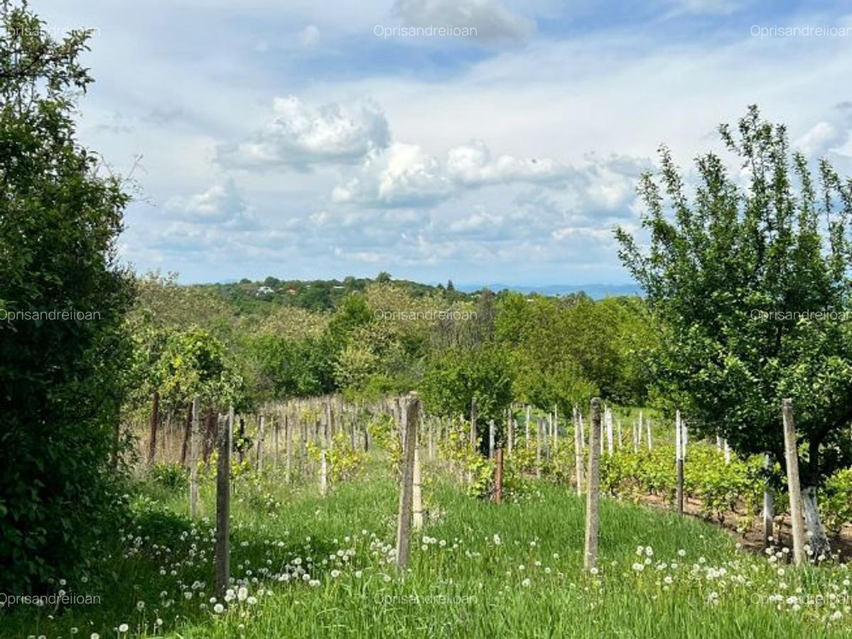 Teren Intravilan - Seciu, Prahova - 1