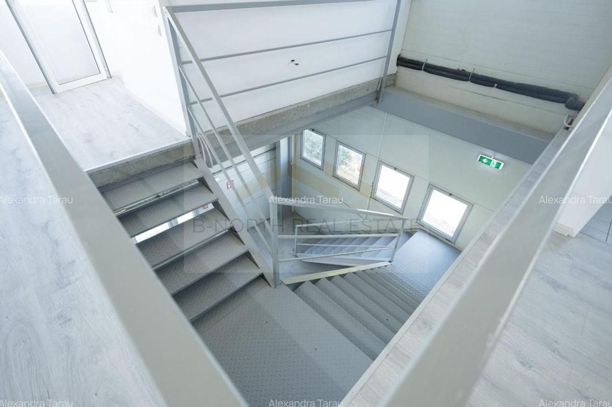 Hala industrială 2.000 mp • Depozitare / Producție • Rampe încărcare • Otopeni - 16