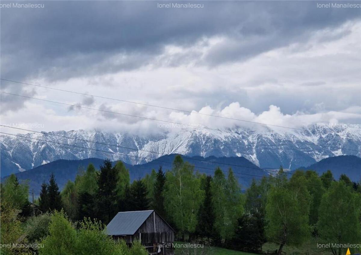 7.000 mp, pozitie spectaculoasa, fara vecini, Fundatica, Bra - 18