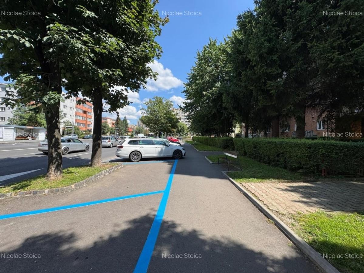 Zizinului, spatiu comercial cu vad stradal - 12
