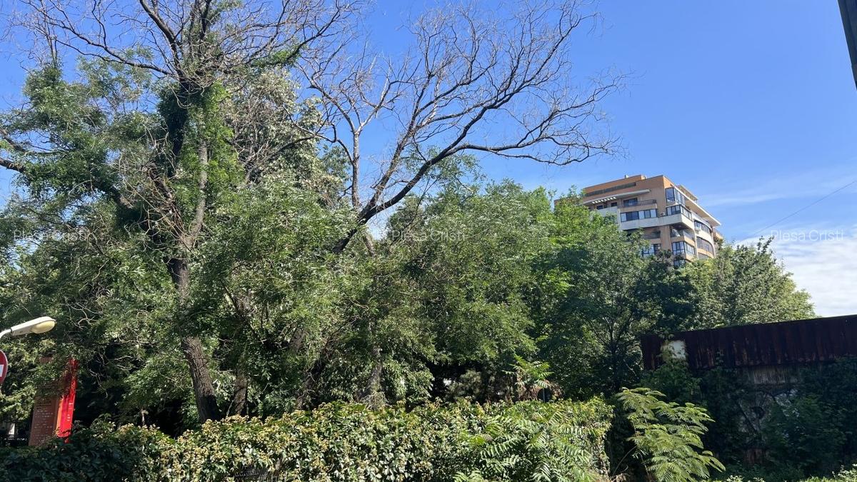 2 CAMERE  LUX  - COTROCENI -GRADINA BOTANICA 104MP - 3