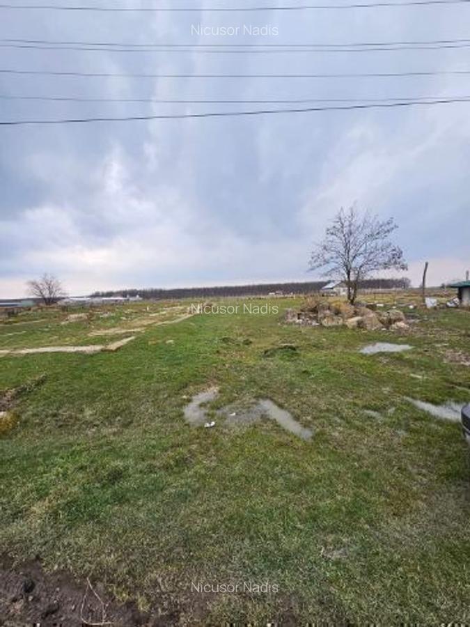 Teren intravilan pentru DEZVOLTATORI - 8