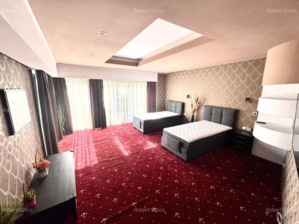 Vila premium 455 mp, destinatie rezidentiala/comerciala-Carrefour Colentina! - 11