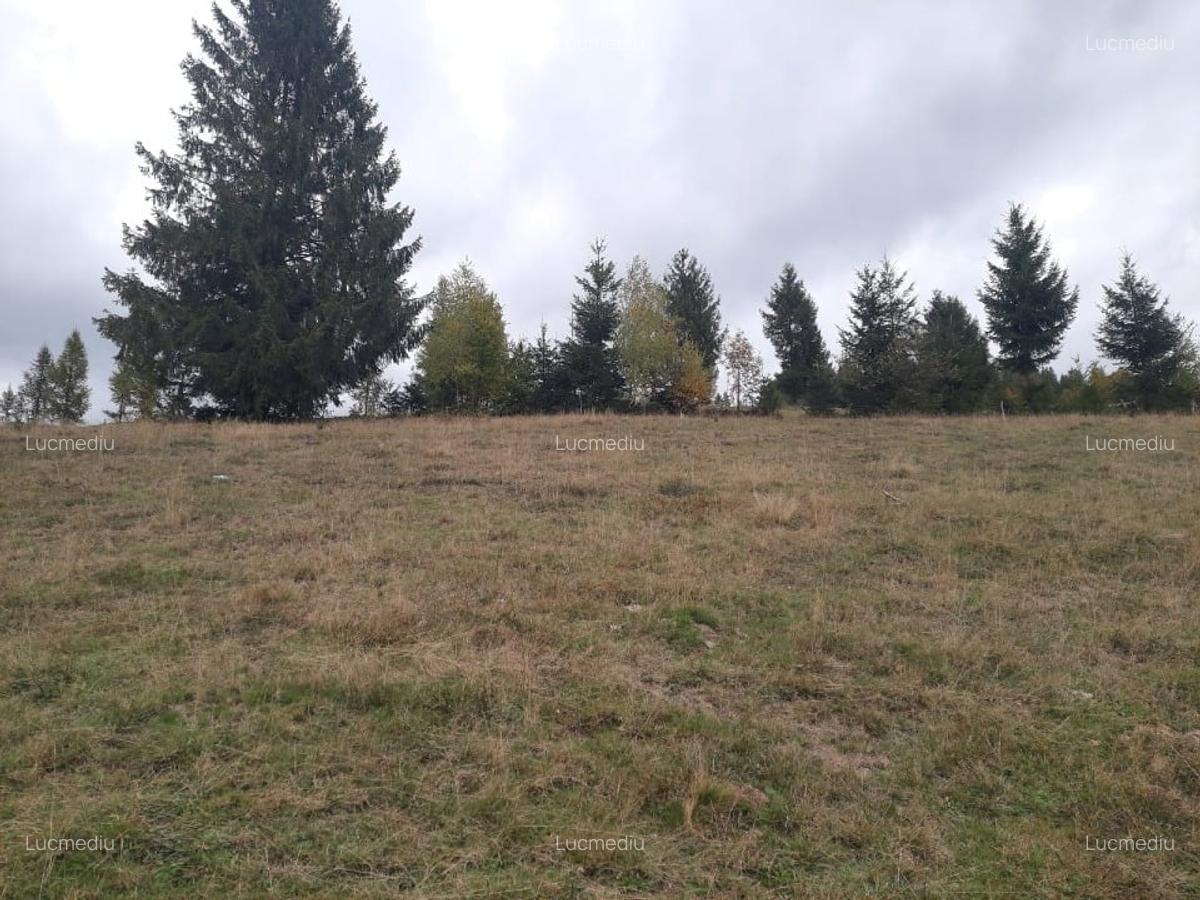 Teren în Arieșeni - 6 Teren în Arieșeni - 6