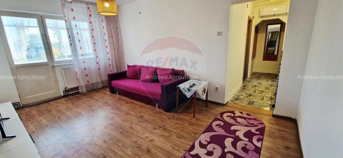 Inchiriere Apartament 2 camere, centrala, semidecomandat, zona Lebada - 9