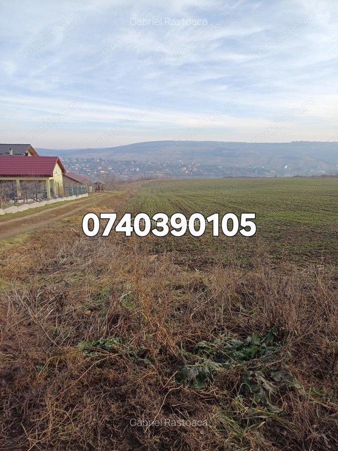 Teren 1950 mp Sorogari - 5