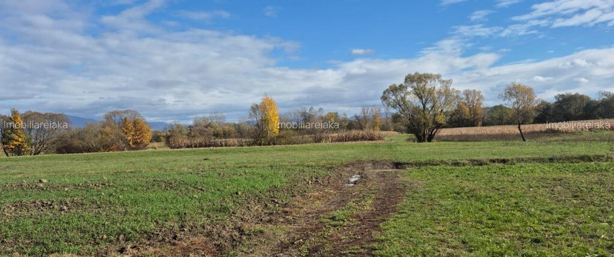 Chechis, 27 ari teren intrav. - 3