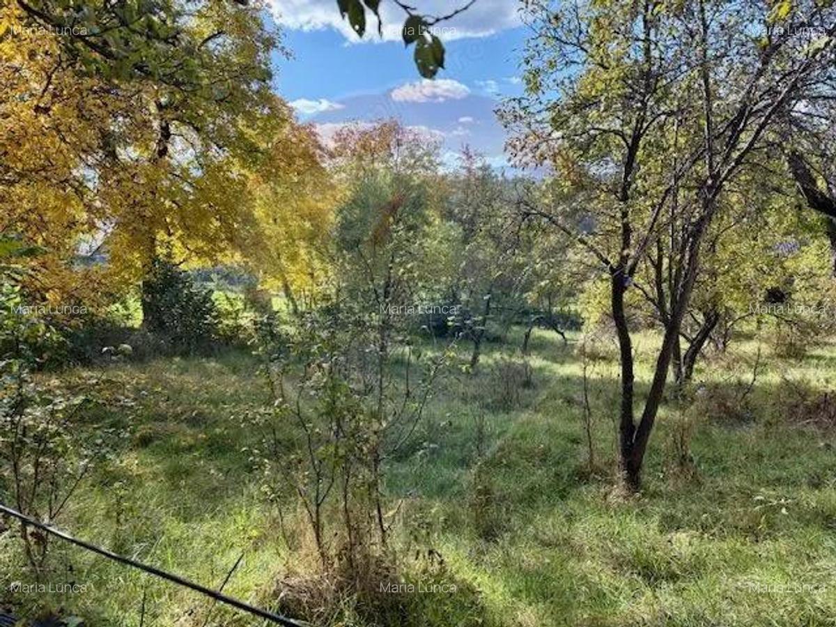 Casa / Vila cu 2 camere de vanzare - 3