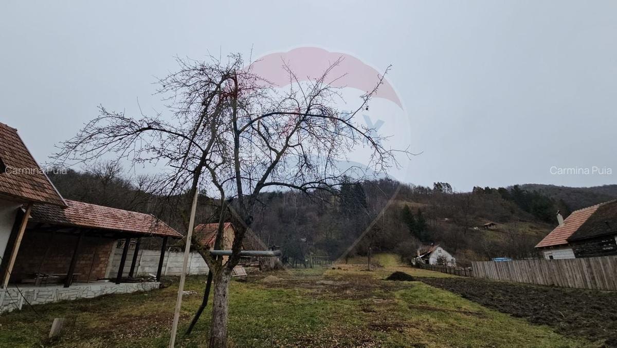 CASA 3 CAMERE SINCA NOUA / 5650 mp teren - 3
