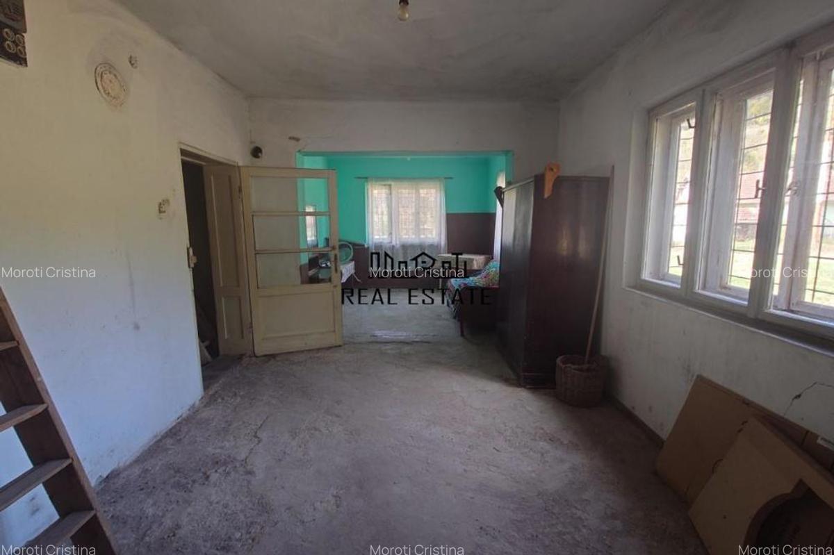 Teren, padure si casa in Dumbrava de Jos, jud. Hunedoara - 16