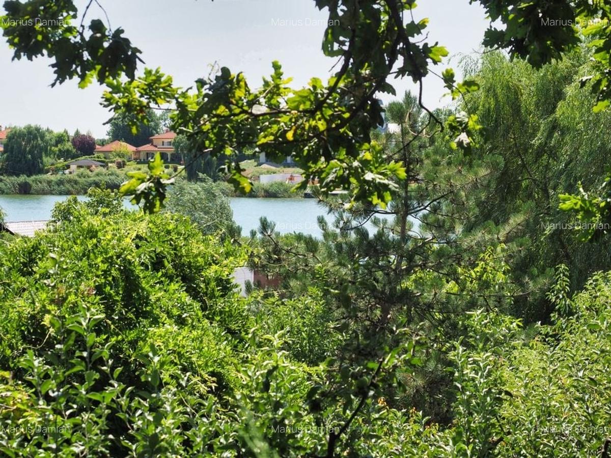 VILA 6 CAMERE SNAGOV IZVORANI LAC -TEREN 1800mp - 7