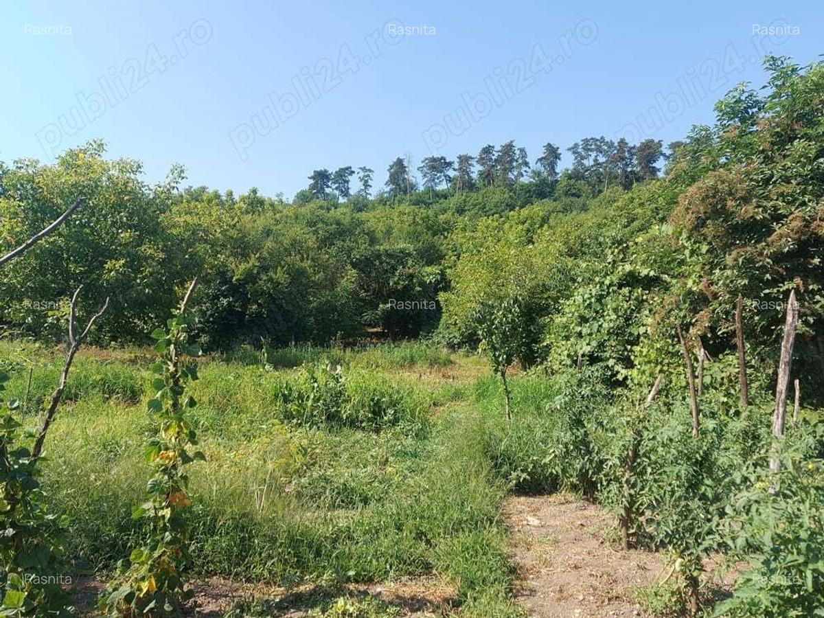 Casa cu gradina in Blaj - 7