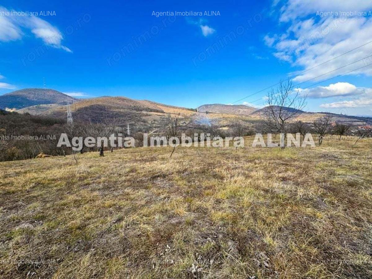 15 parcele de Teren intravilan in Deva, zona Calugareni, Strada Prunilor, Jud. Hd, cu PUZ, PUD, etc. - 11