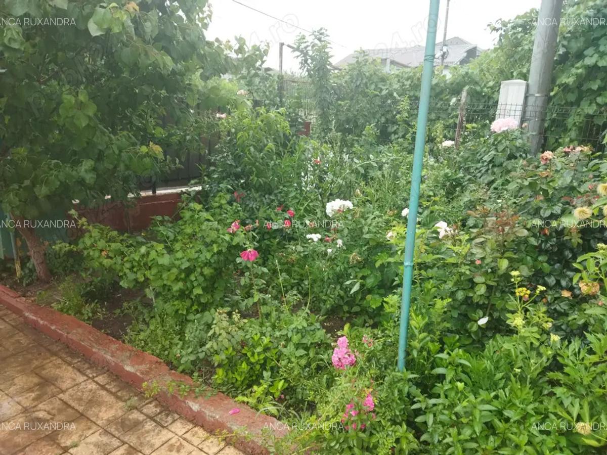 Vanzare vila P+1+M centru Otopeni - 4