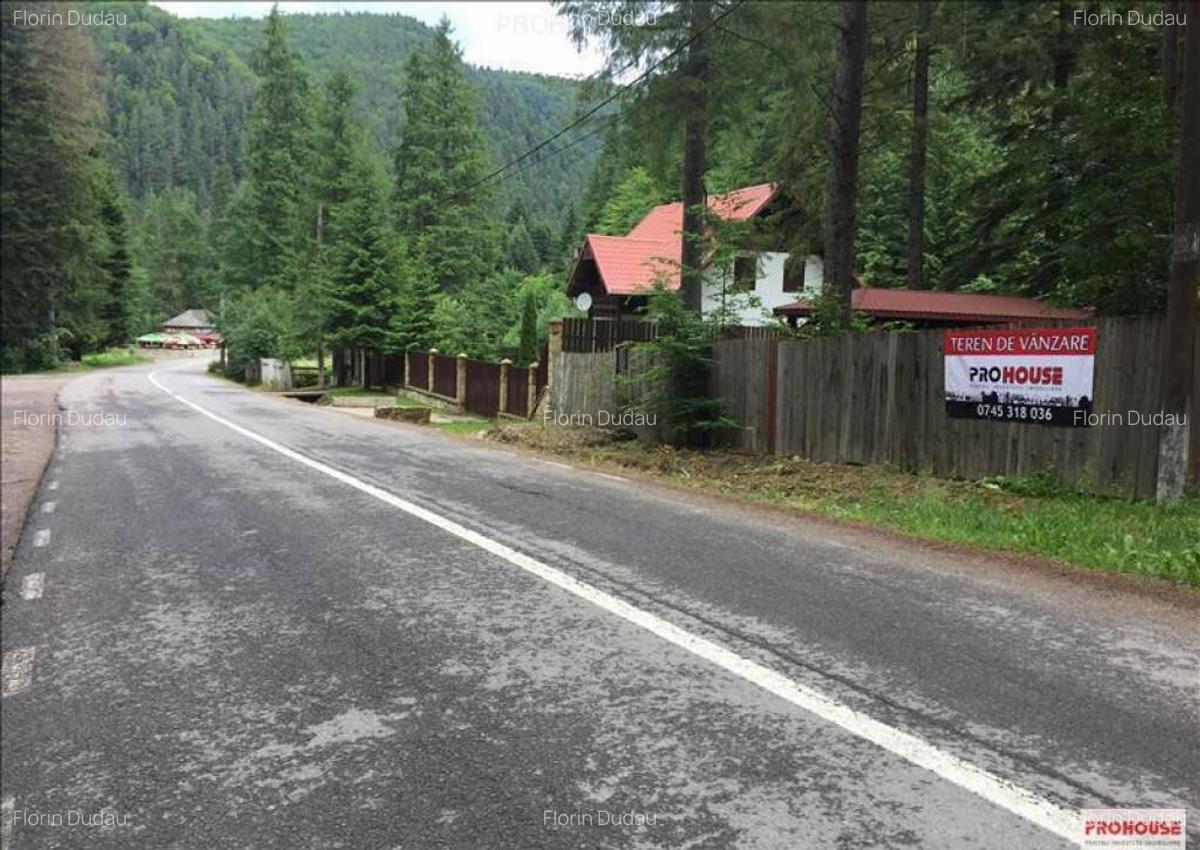 Slanic Moldova - Oportunitate unica pentru dezvoltare turist - 2 Slanic Moldova - Oportunitate unica pentru dezvoltare turist - 2