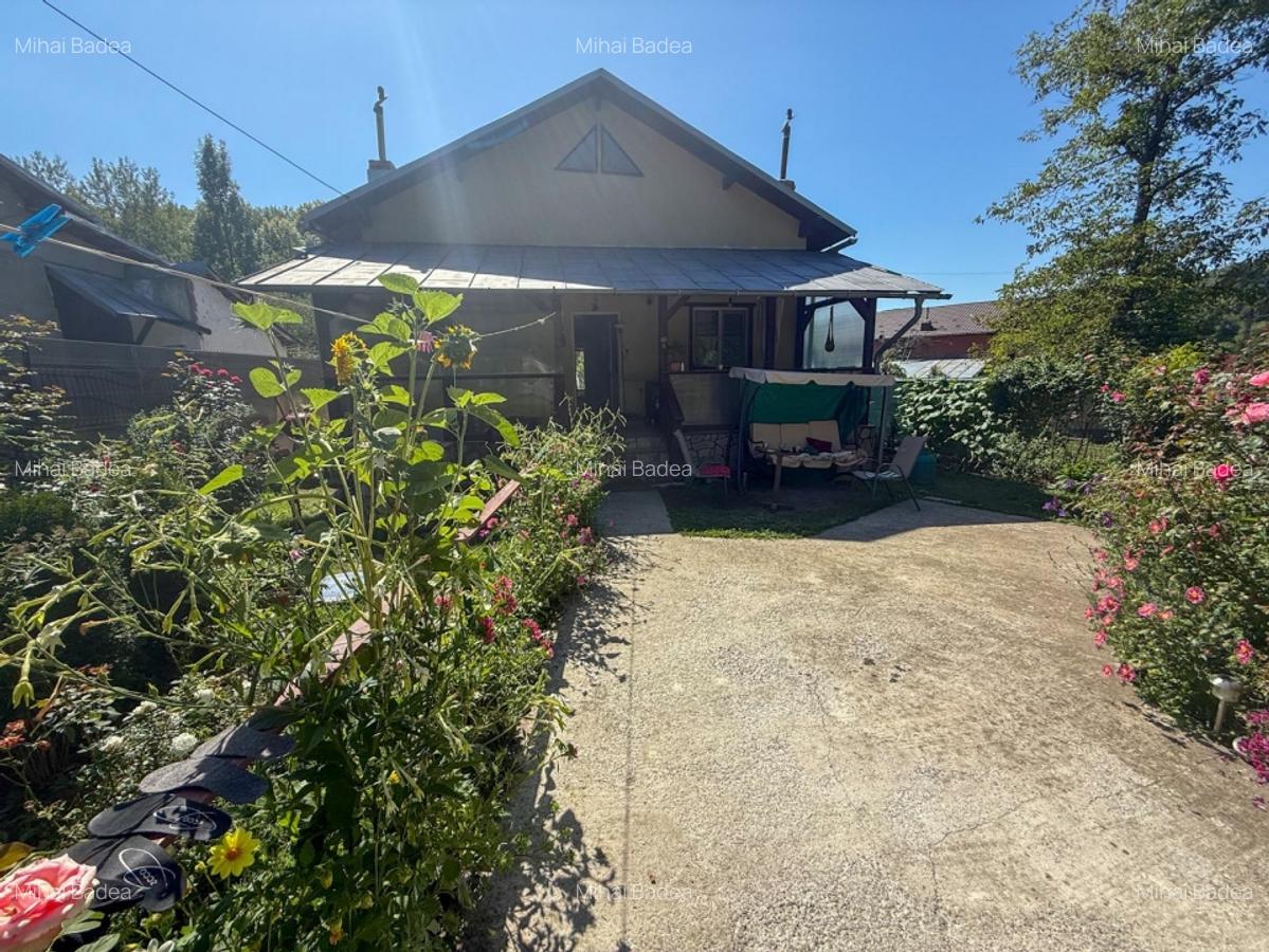 Casa de vacanta sau rezidenta in Adunati, buget redus - 2